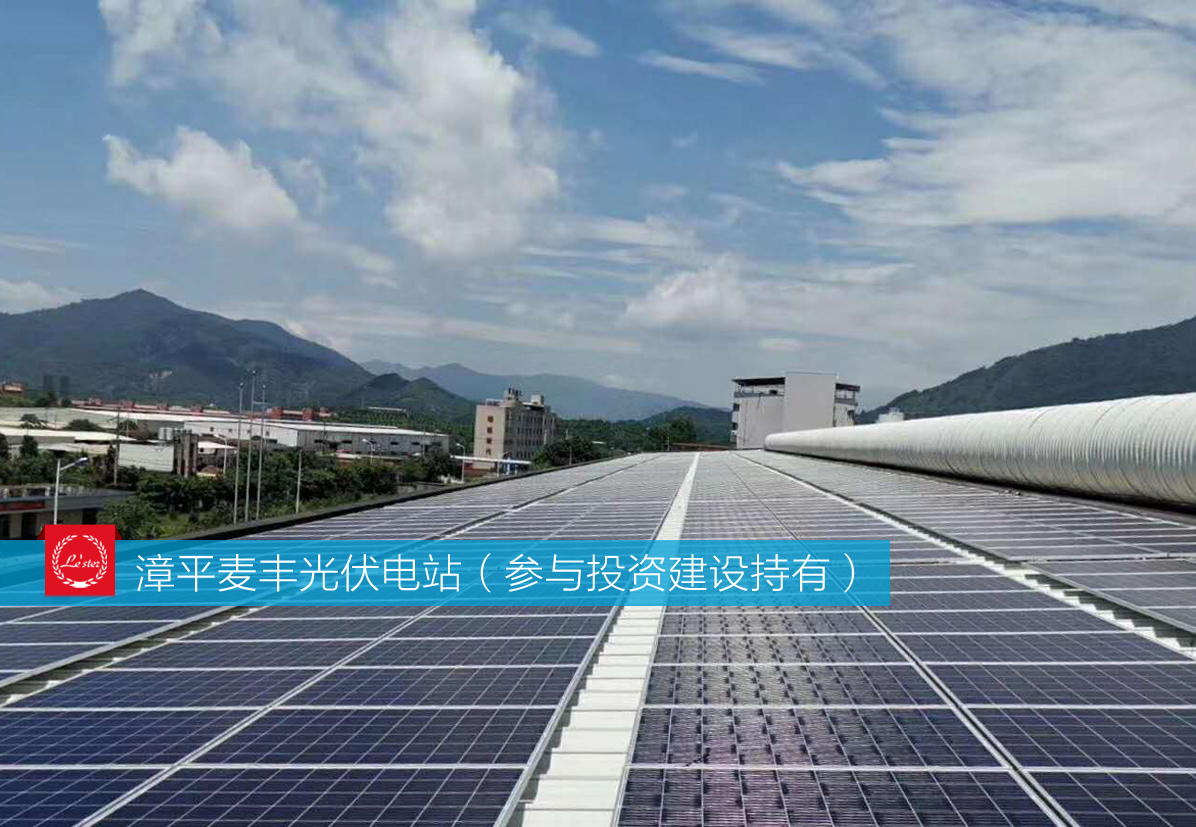 萊爾斯特參與投資建設(shè)持有的漳平麥豐光伏電站圖3