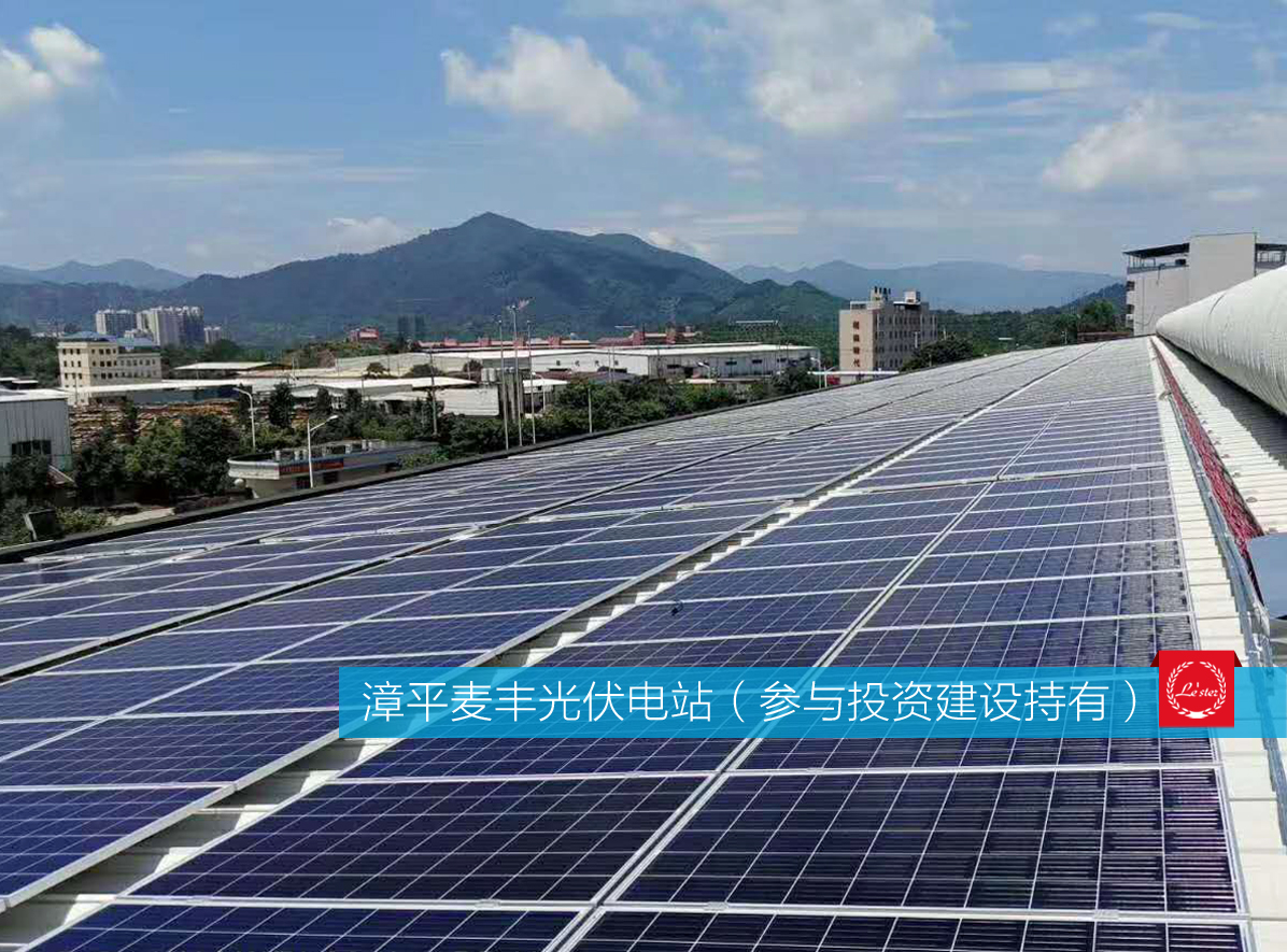 萊爾斯特參與投資建設(shè)持有的漳平麥豐光伏電站圖4