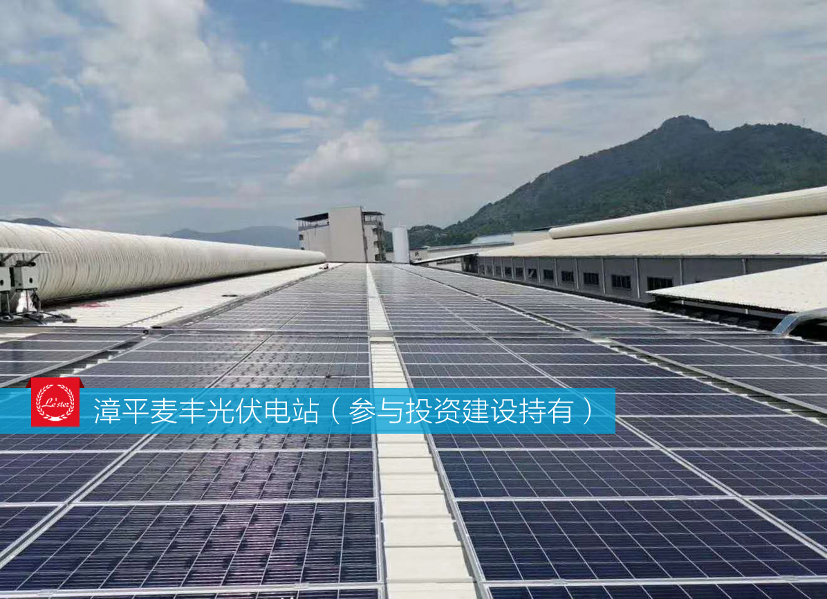 萊爾斯特參與投資建設(shè)持有的漳平麥豐光伏電站圖5