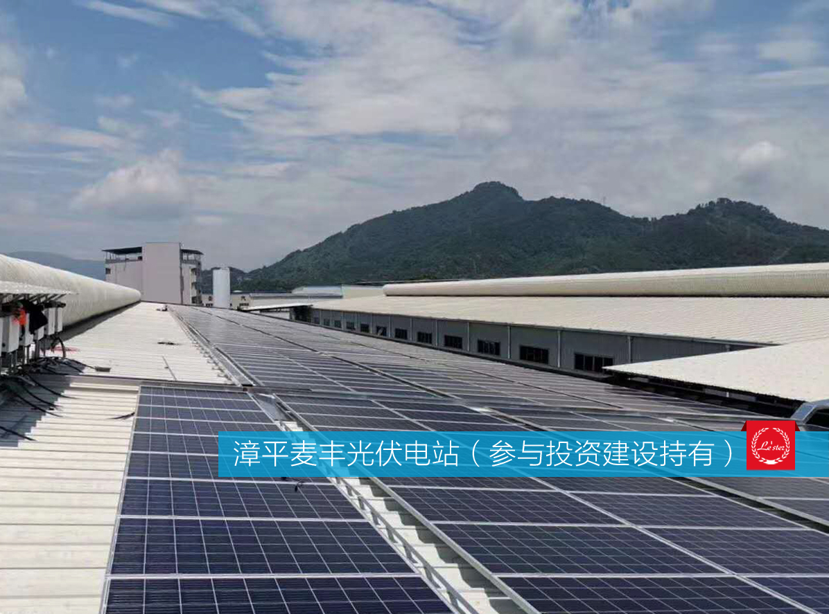 萊爾斯特參與投資建設(shè)持有的漳平麥豐光伏電站圖6
