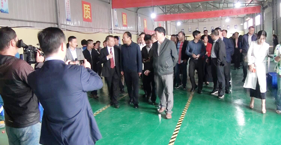萊爾斯特（臨夏）新能源有限公司開業典禮圖9