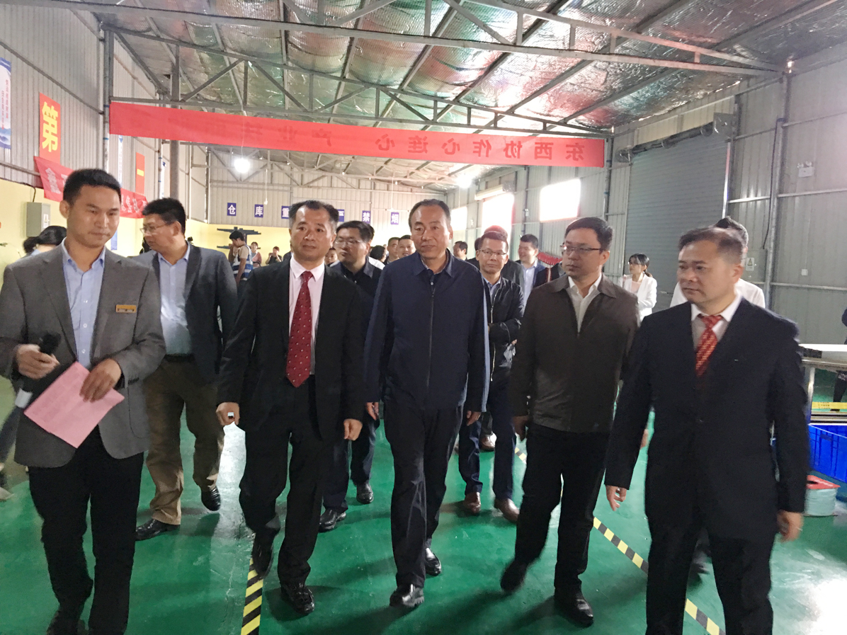 萊爾斯特（臨夏）新能源有限公司開業典禮圖10