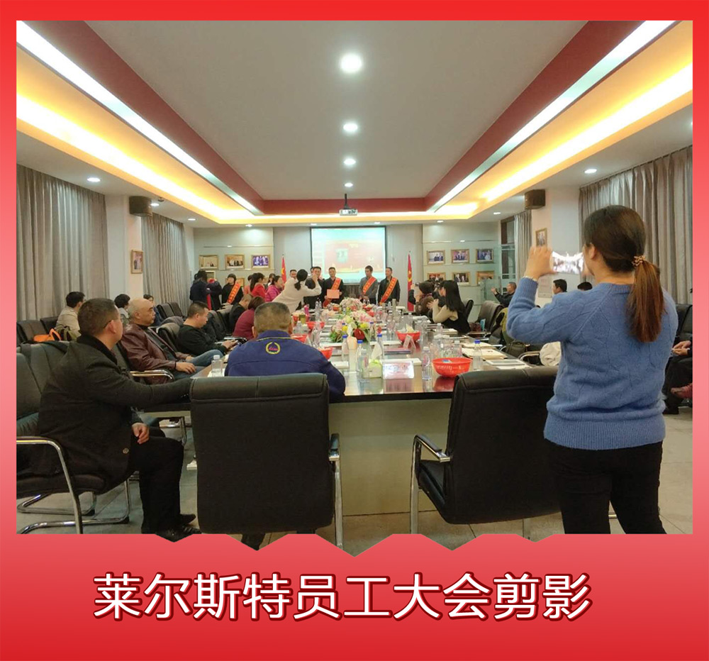 萊爾斯特員工大會(huì)剪影1
