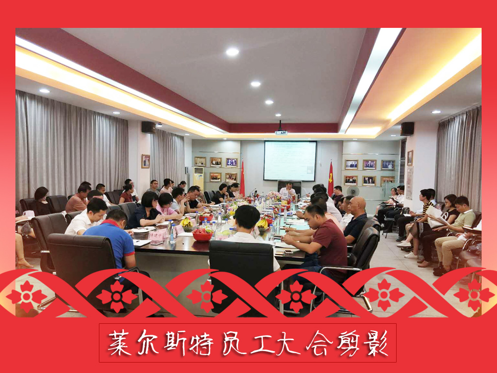 萊爾斯特員工大會(huì)剪影3